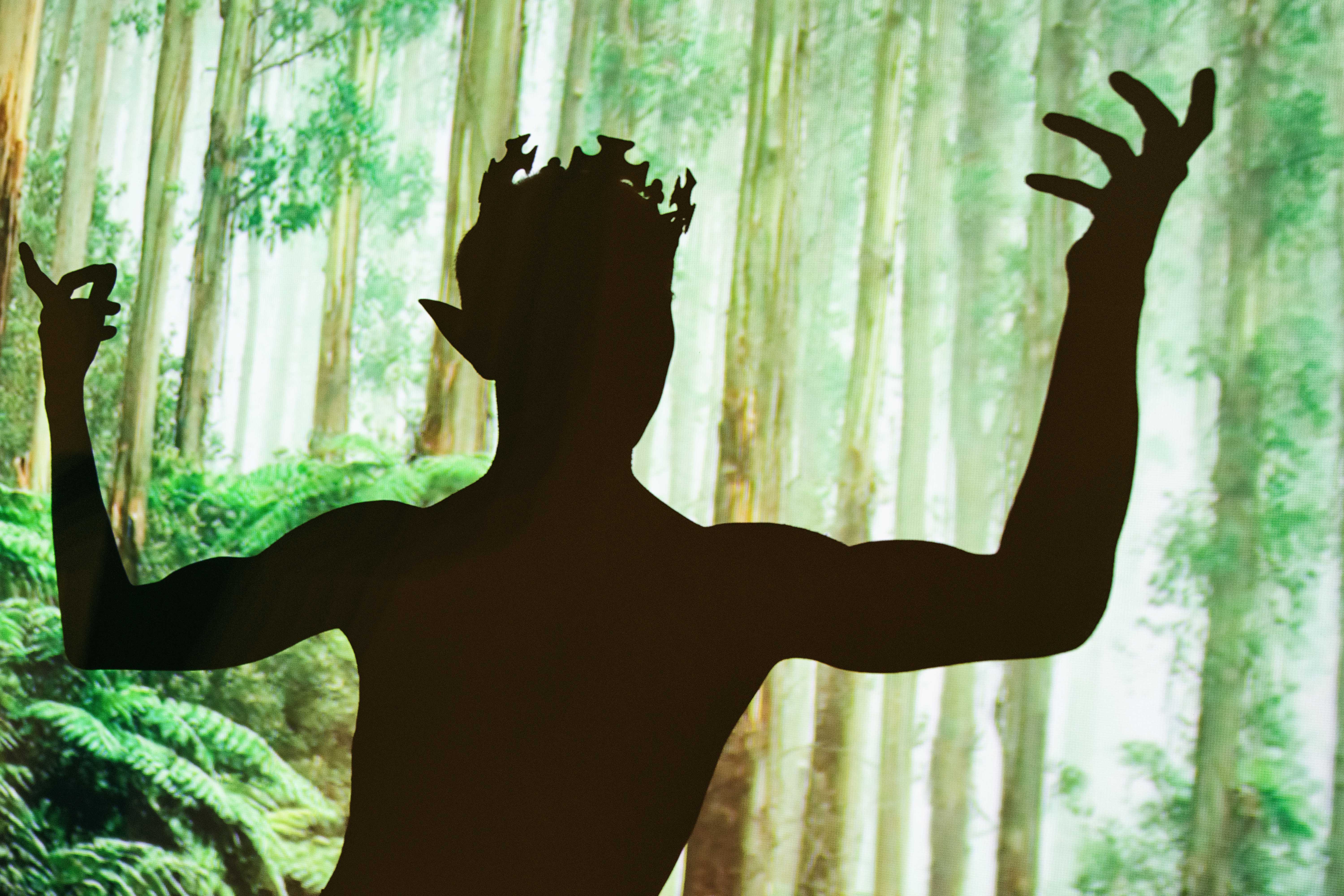 AI generated: The image shows the silhouette of a mystical figure with pointed ears and a crown-like structure on its head against a background of tall trees and dense ferns. The figure has its arms stretched upwards, creating a dramatic pose.